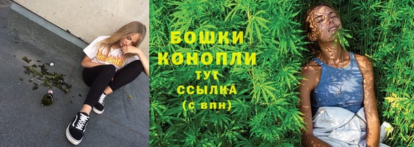 стаф Наволоки