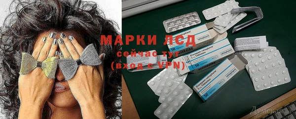 стаф Наволоки