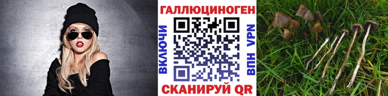 Галлюциногенные грибы Cubensis  darknet формула  Нестеровская  даркнет сайт 